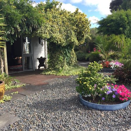 The Olive Grove Guest House Te Kopuru Exterior photo